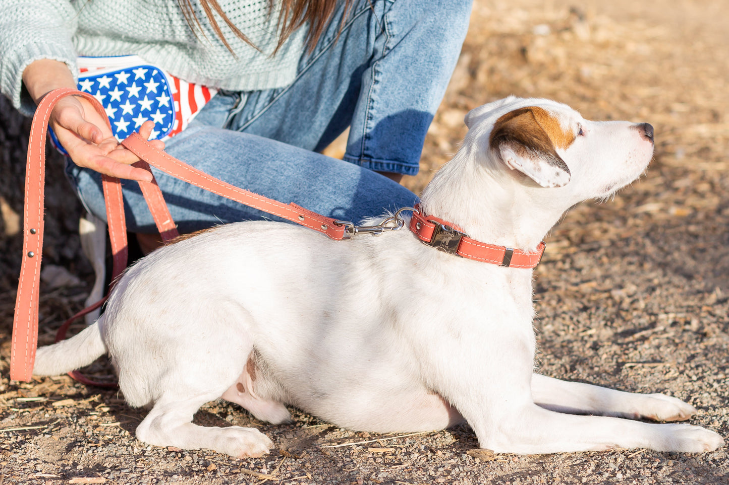 Quick-Release Style Leather Collar and Leash Sets