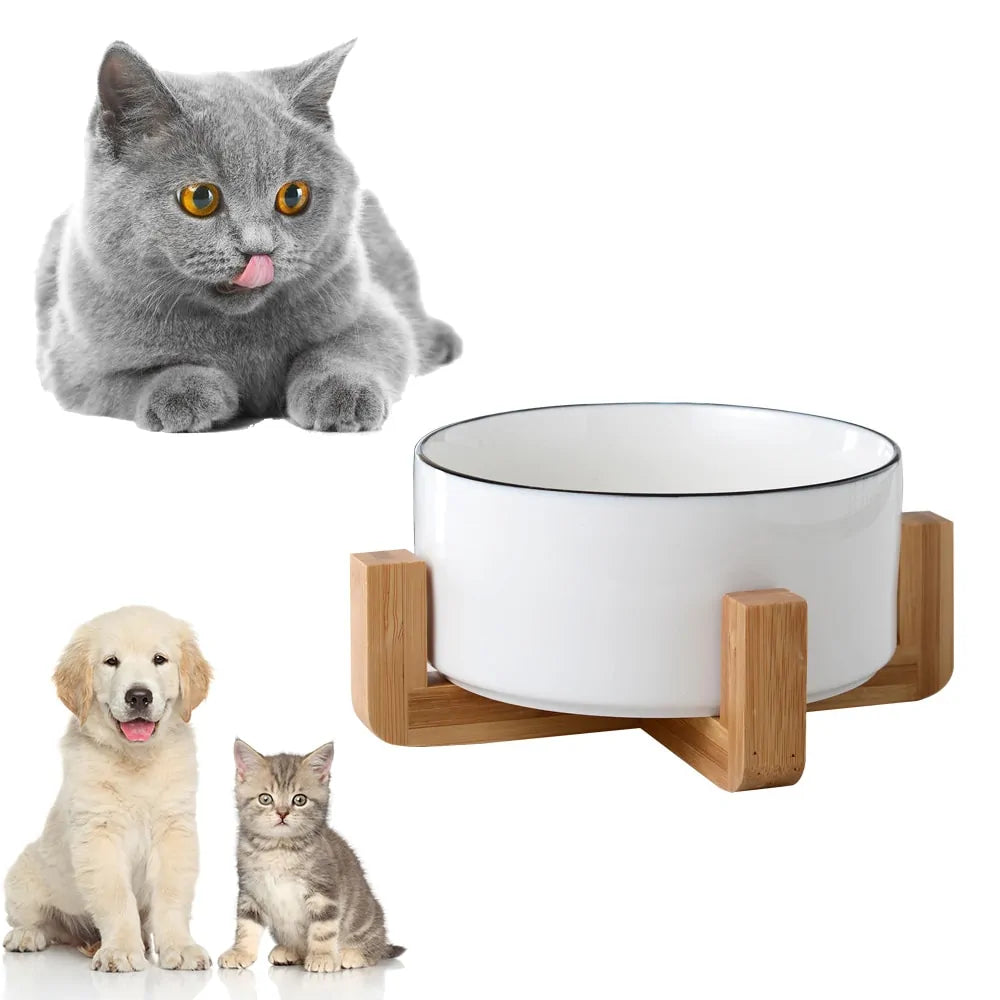 Ceramic Raised Pet Bowl w/ Wood Stand