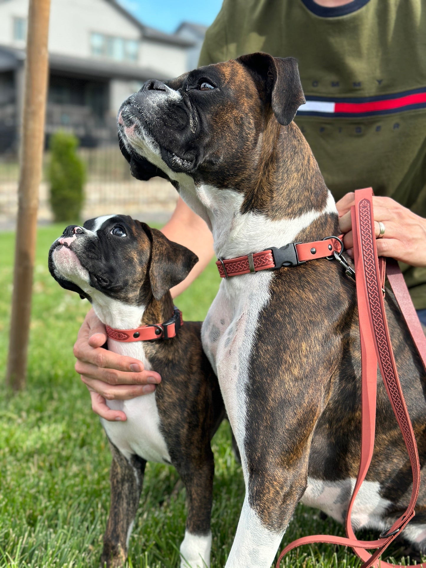 Celtic Sport Leather Collar and Leash Sets