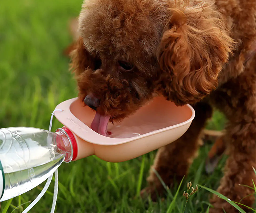 Travel Pet Water Bowl