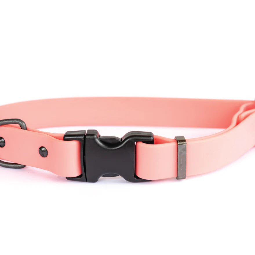 Waterproof Collar and Leash Set