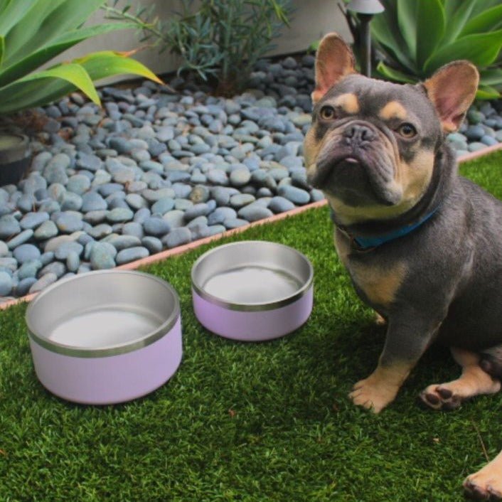 Stainless Steel Pet Bowl-More colors